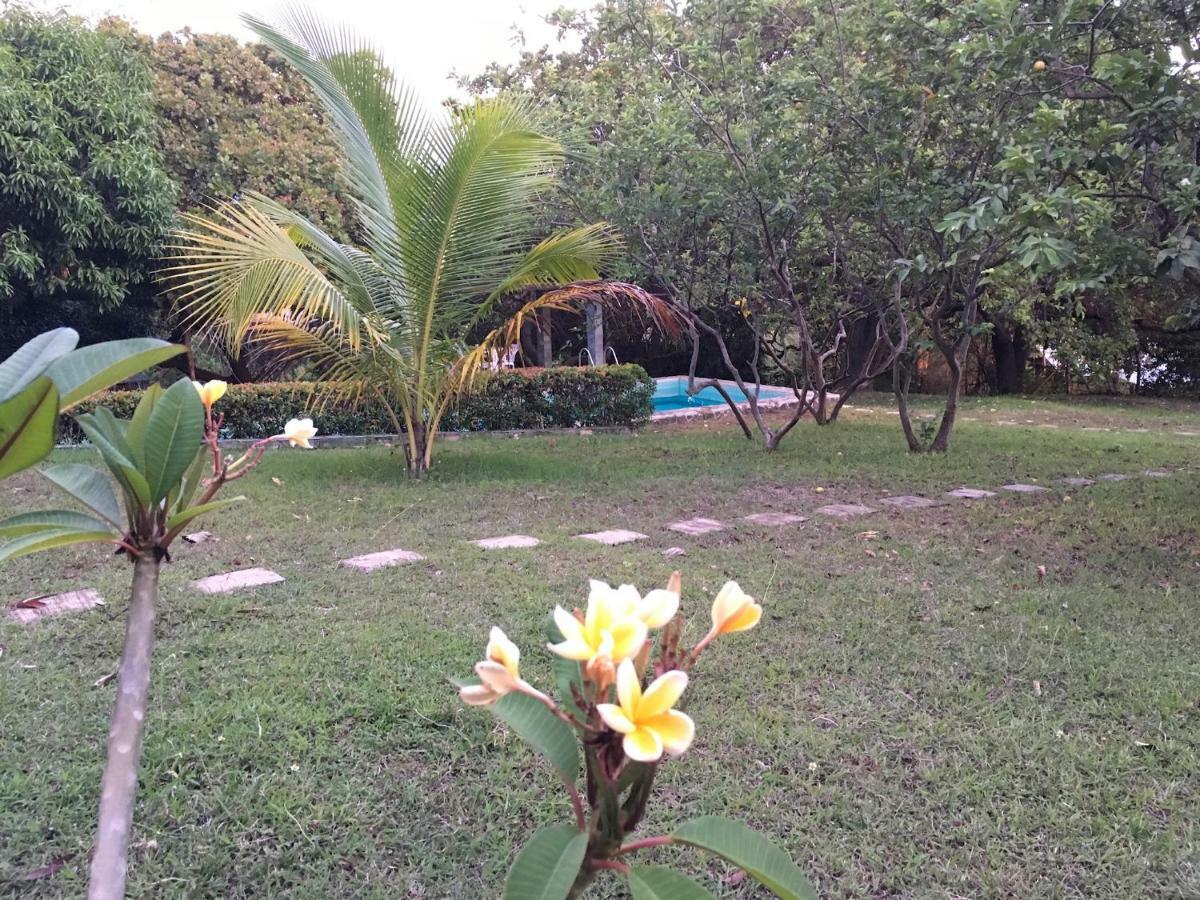 Native House With Beautiful Pool Villa Bagac Exterior photo